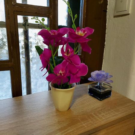 Lovely, Neat And Quite Apartment Dalia, Private Parking Сараєво Екстер'єр фото