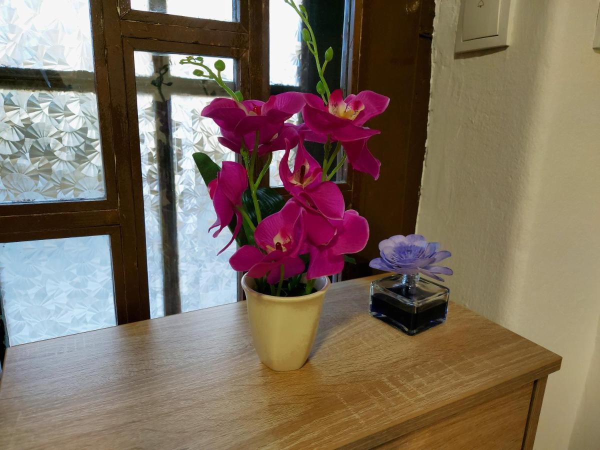 Lovely, Neat And Quite Apartment Dalia, Private Parking Сараєво Екстер'єр фото